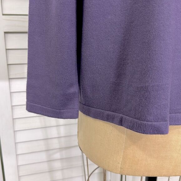 Chico’s Embellished Sweater Size 2 (12) V Neck - Picture 7 of 11